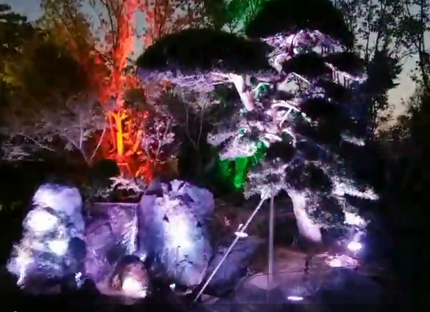 泉州園林亮化工程