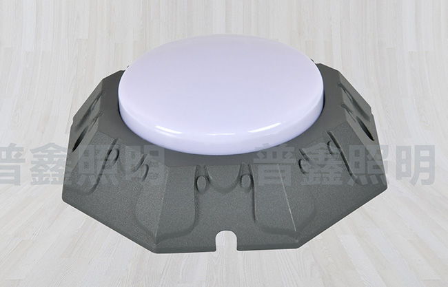 點(diǎn)光源系列 DGY-012