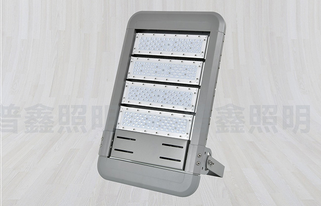 隧道燈系列 SDD-007