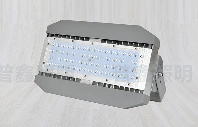 隧道燈系列 SDD-008