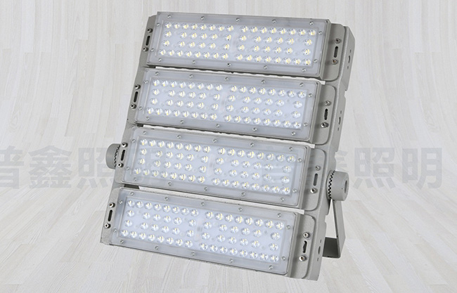 隧道燈系列 SDD-010