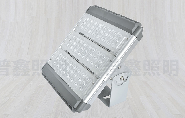 隧道燈系列 SDD-013